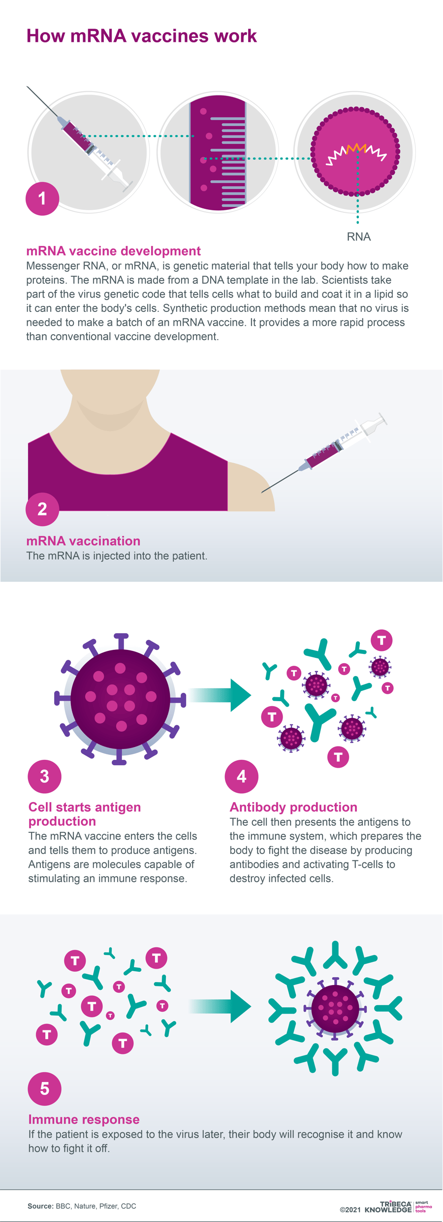 Graphic showing how mRNA vaccines work from TRiBECA Knowledge's 8 Pharma Trends for 2022